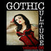 Pail Gothic Culture, Vol. 6 - 19 Darkwave & Industrial Tracks