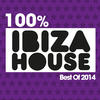 Umek 100% Ibiza House (Best of 2014)