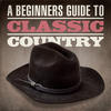 Joan Osborne A Beginners Guide To Classic Country