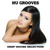 Silver Nu Grooves (Deep House Selection)