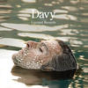 Coconut Records Davy