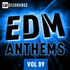 E-Wok EDM Anthems Vol. 09