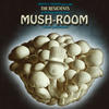 THE RESIDENTS Mush-Room (Music from a Dance Performance)