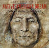 Medwyn Goodall Native American Dream