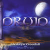 Medwyn Goodall Druid II