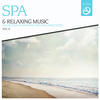 Medwyn Goodall SPA & Relaxing Music, Vol. 6