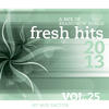 Mix Factor Fresh Hits - 2013 - Vol. 25