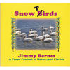 Jimmy Barnes Snow Birds