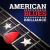 Elvin Bishop American Blues Brilliance