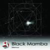 Black Mamba Silent Lp