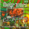 The Wolfe Tones Celtic Symphony