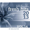 Mix Factor Fresh Hits - 2013 - Vol. 14