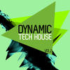 Martin Eyerer Dynamic Tech House, Vol. 2