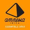 Sinema Amnesia Ibiza Essentials 2013 (Selected and Mixed by Les Schmitz, Caal Smile and Mar-T)