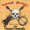 Vassar Clements & Vasser Clements Dead Grass