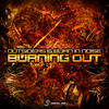 Burn In Noise Burning Out - Single
