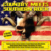 Faron Young Country Meets Southern Rock (Re-recorded Version)