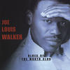 Joe Louis Walker Blues of the Month Club