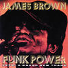 James Brown Funk Power 1970: A Brand New Thang