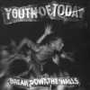 Youth Of Today Break Down the Walls