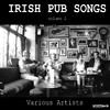 Waxies Dargle Irish Pub Songs, Vol. 2