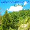 Orinoco Forêt amazonienne