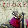 Proxy Proxy