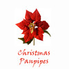 Various Artists Christmas Panpipe