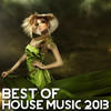 Mozaic Best of House Music 2013