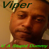 Viper U a Stupid Dummy