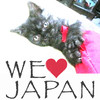 Zetlab We Love Japan 2