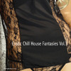 The Sura Quintet Erotic Chill House Fantasies, Vol. 3