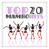 The Devils Top 20 Mambo Hits