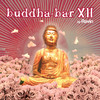 Sarma Buddha-Bar XII (by Ravin)