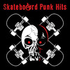 The Damned Skateboard Punk Hits