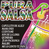 Various Artists Pura Salsa