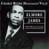 Elmore James The Sky Is Crying