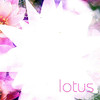 Ishq Lotus (Singles, 2001-2006)