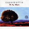 Capercaillie To The Moon