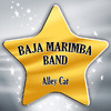 Baja Marimba Band Alley Cat