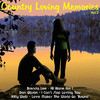 Lynn Anderson Country Loving Memories, Vol. 2