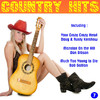 Bobby Goldsboro Country Hits, Vol. 7