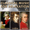 Various Artists Classical Music for Relaxation Vol.1