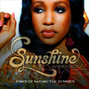 Sunshine Anderson Force of Nature: The Remixes