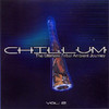Psydrop Chillum Vol. 2 - the Ultimate Tribal Ambient Journey