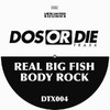 Reel Big Fish Body Rock