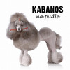 Kabanos Na Pudle (acoustic)