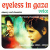 Eyeless In Gaza Voice - The Best of Eyeless In Gaza