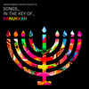Erran Baron Cohen Erran Baron Cohen Presents: Songs In the Key of Hanukkah