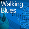 B.B. King Walking Blues